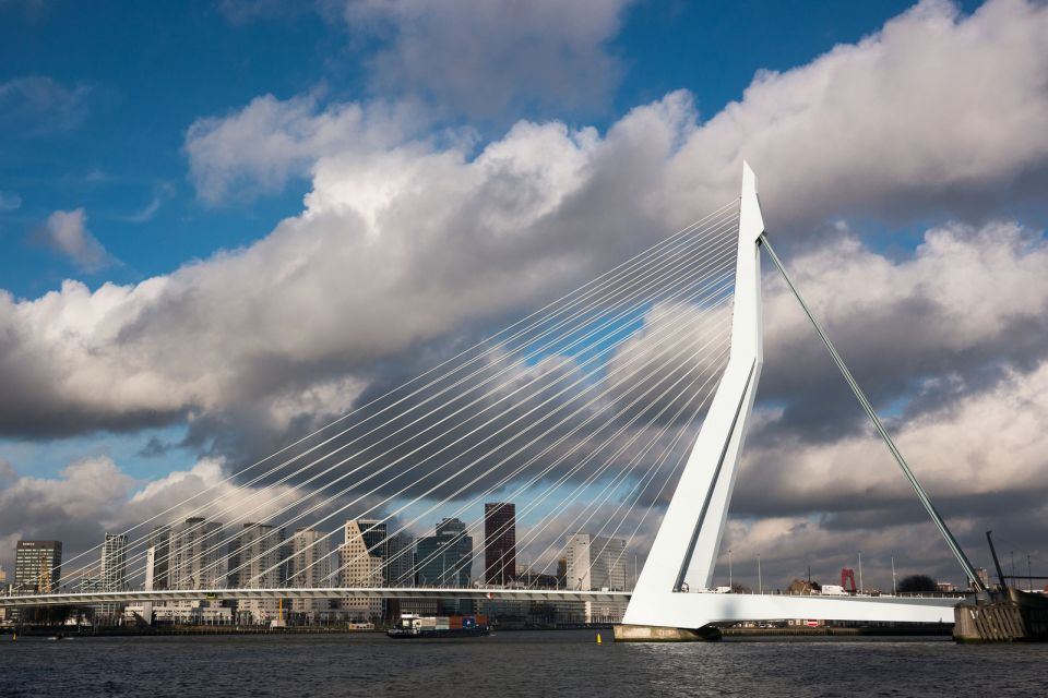 Rotterdam: Private Tour With a Local - Activity Details