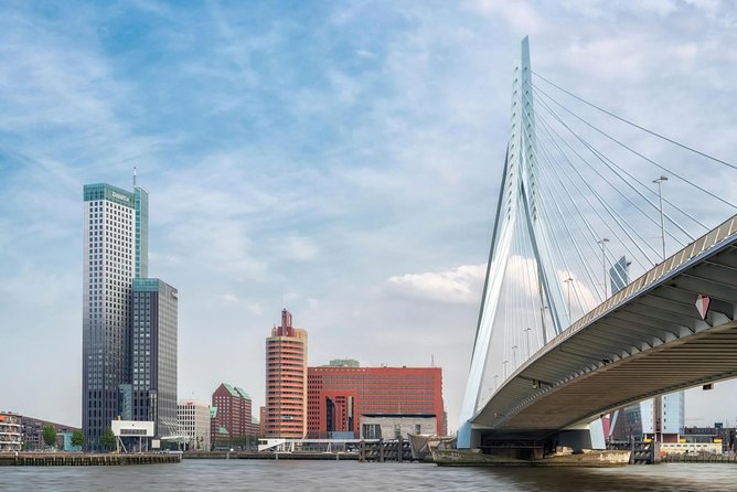 Rotterdam Small-Group Walking Tour - Key Points