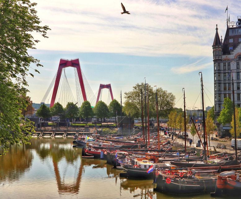 Rotterdam: Walking Tour With Audio Guide on App - Key Points