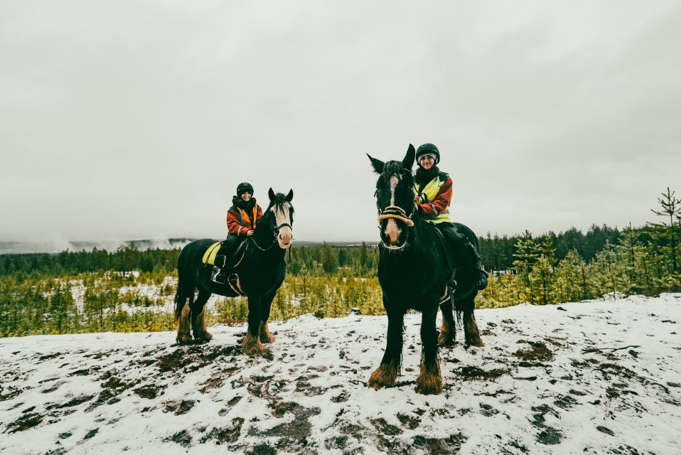 Rovaniemi: Arctic Horse Riding Experience - Key Points