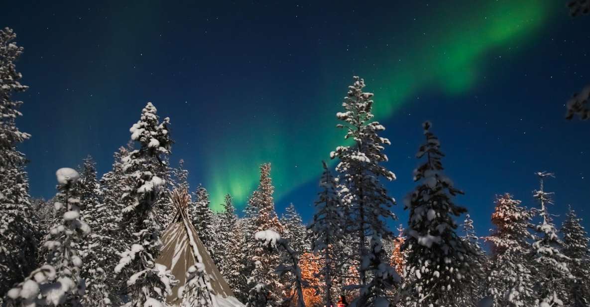 Rovaniemi: Aurora Borealis and Picnic - Key Points