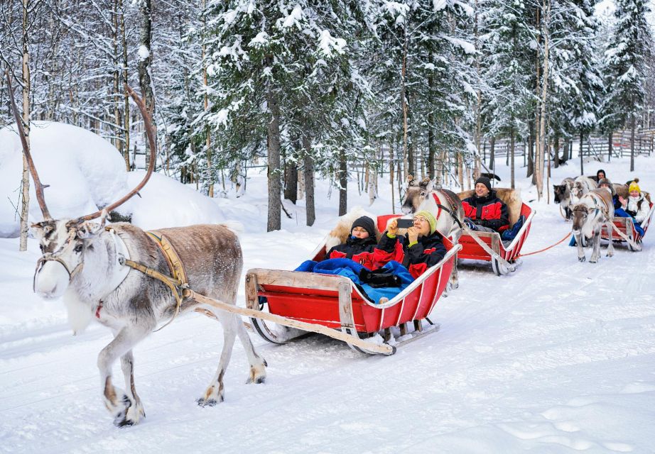 Rovaniemi: Authentic Reindeer Farm Visit and Sleigh Ride - Key Points