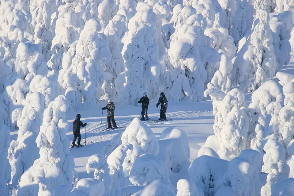 Rovaniemi: Cross Country Wilderness Ski Adventure - Key Points