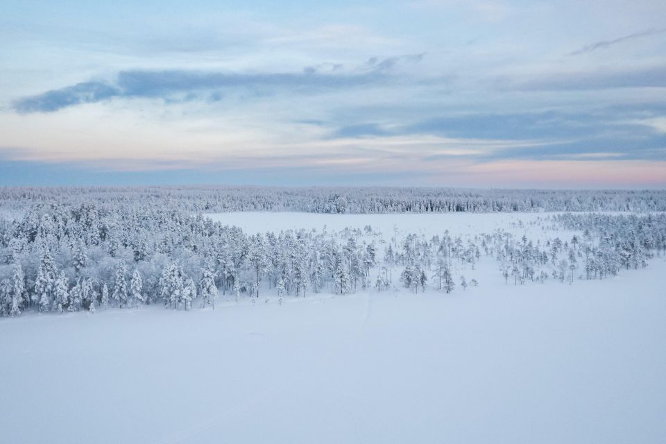 Rovaniemi: Feel the Speed of Huskies - Key Points