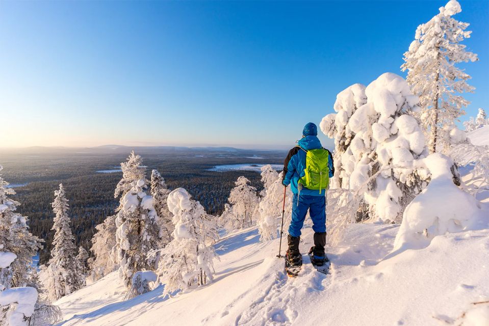 Rovaniemi: Hiking and Snowshoeing Adventure in Lapland - Key Points