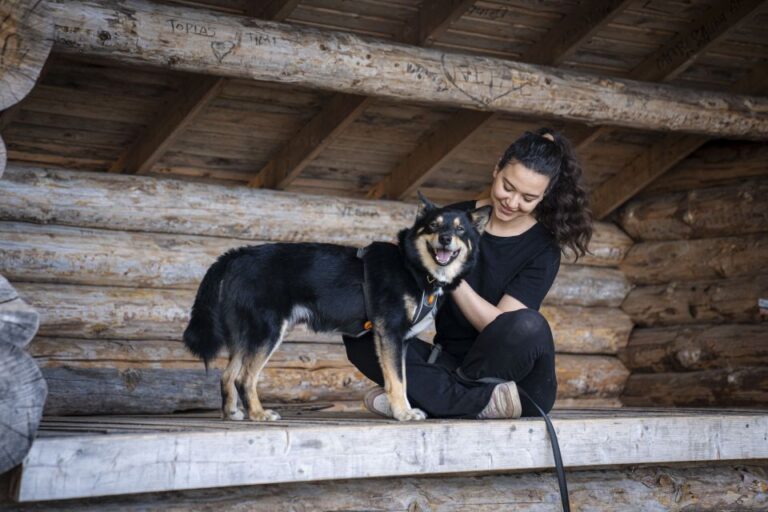 Rovaniemi: Hiking Experience With Lappish Dogs