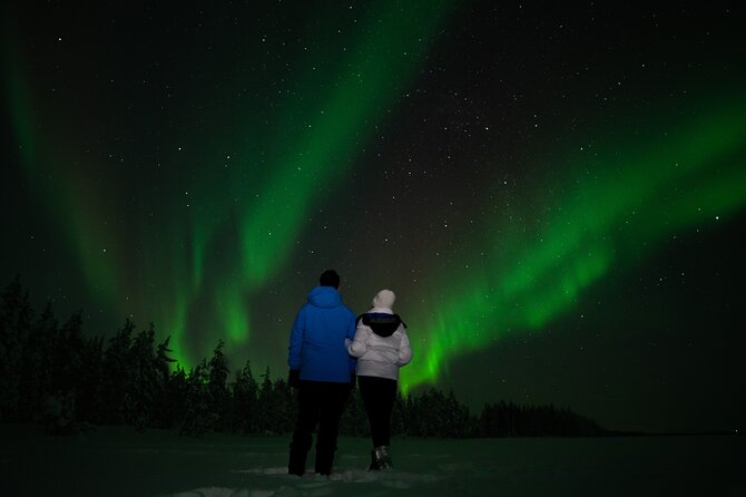 Rovaniemi: Northern Lights by Minibus - Whats Included