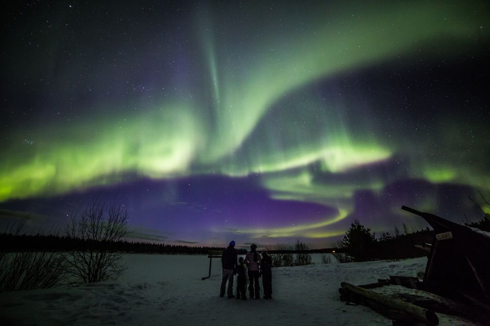 Rovaniemi: Northern Lights Sledge Ride - Key Points