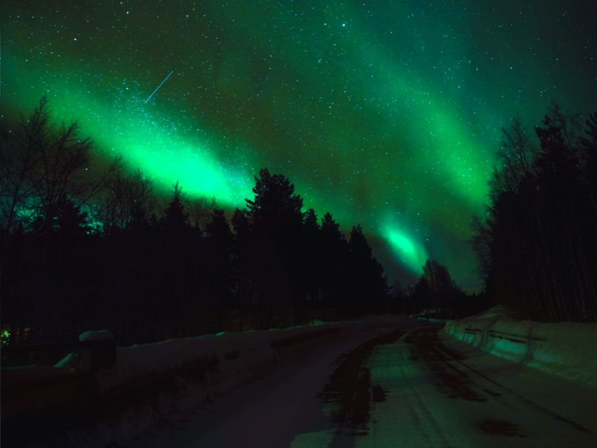 Rovaniemi: Reindeer Evening Safari Tour & 2.5 Km Sled Ride - Key Points