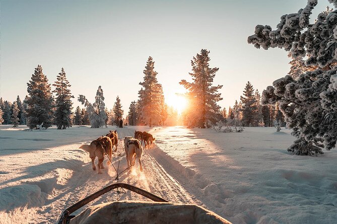 Rovaniemi Santa Claus Village, Reindeer and Husky Tour