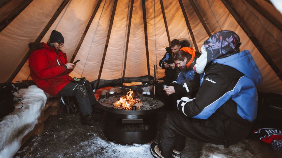 Rovaniemi: Ski Trekking Safari in Lapland - Key Points