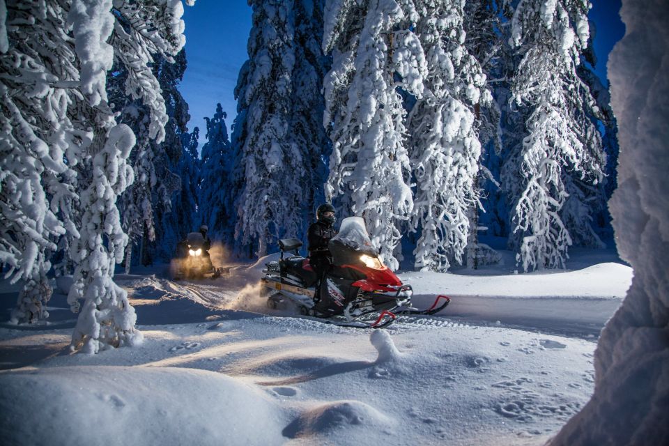 Rovaniemi: Snowmobile Safari & Campfire Evening Escape - Key Points