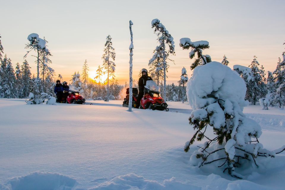 Rovaniemi: Snowmobile Safari to a Reindeer Farm - Key Points