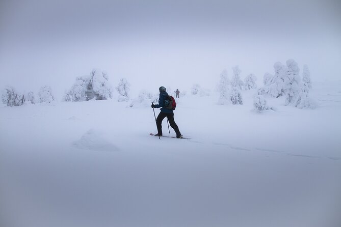 Rovaniemi Snowshoe Excursion (Mar ) - Key Points