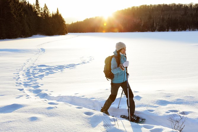Rovaniemi Snowshoe Hike in Lappish Wilderness - Key Points