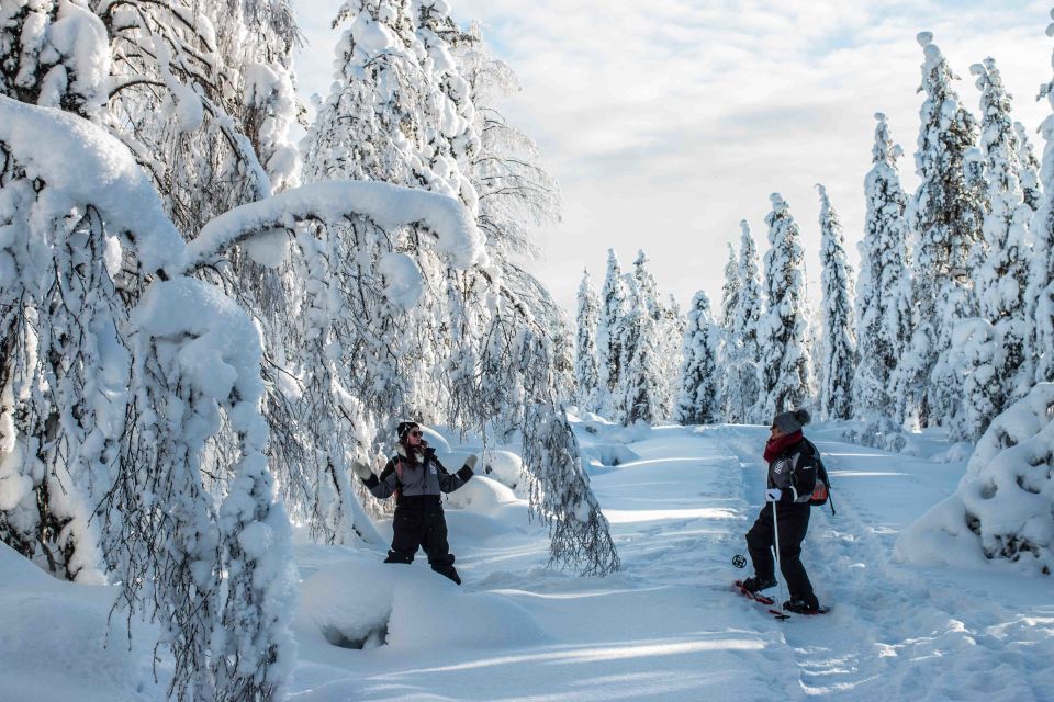 Rovaniemi: Snowshoe Wilderness Adventure - Key Points