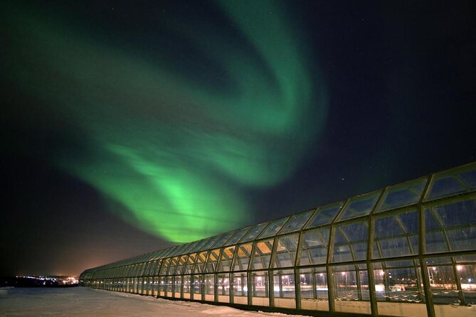 Rovaniemi Walking Tour and Guided Arktikum Experience - Tour Highlights