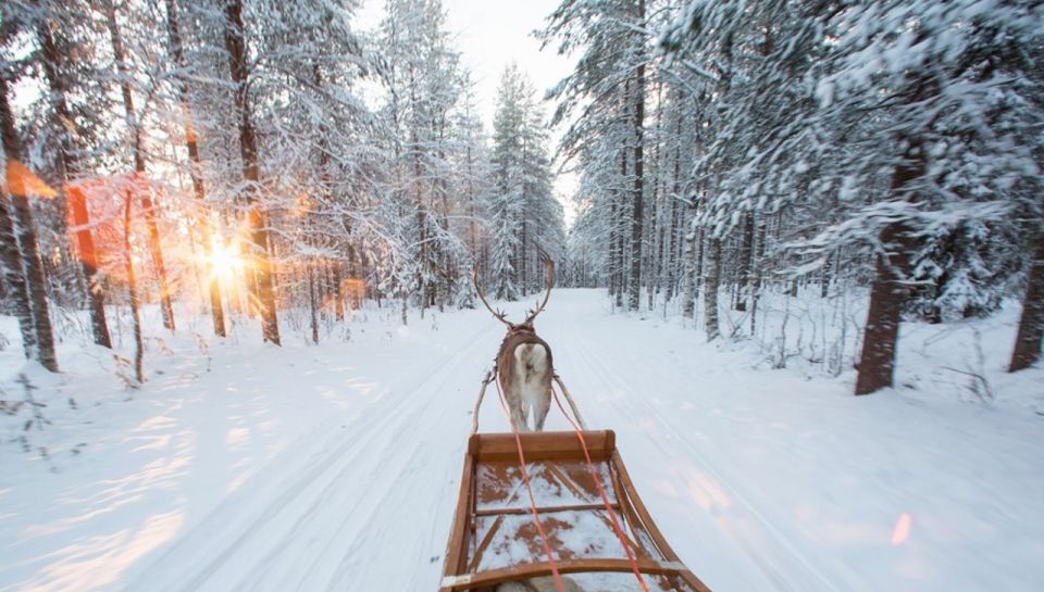 Rovaniemi: Winter Snowshoeing, Reindeer & Husky Sleigh Ride - Key Points
