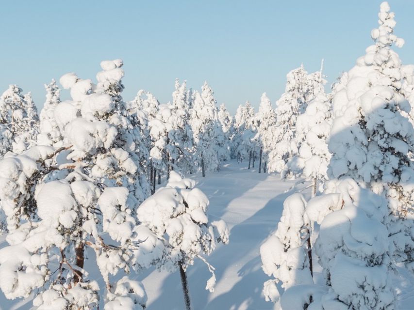 Rovaniemi: Winter Wonderland Vikaköngäs Hike & Barbeque - Key Points