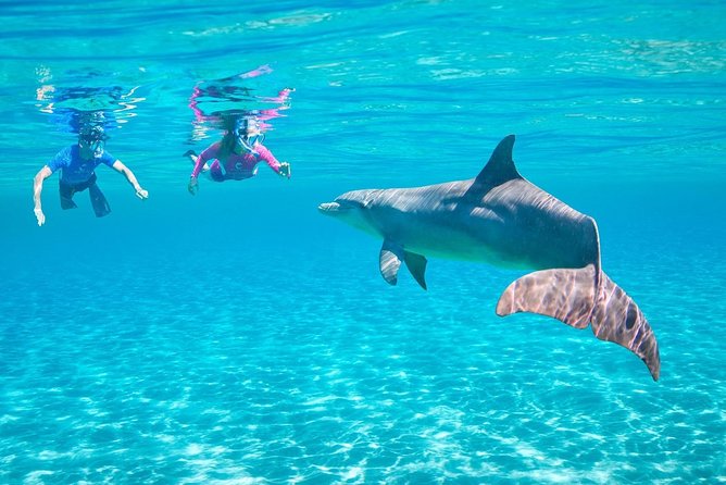 ROYAL Dolphin House With Water Sports - VIP Snorkeling Sea Trip - Hurghada - Key Points