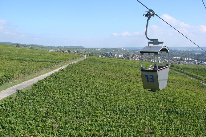 Rudesheim Private Walking Tour With A Professional Guide - Key Points