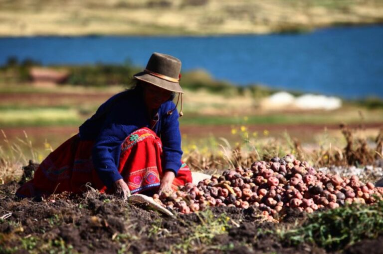 Rural Community Tourism in the Potato Park – Sacred Valley