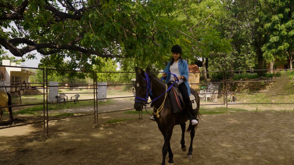 Rural Trail On Marwari Horseback At Private Ranch in 12Acres - Key Points