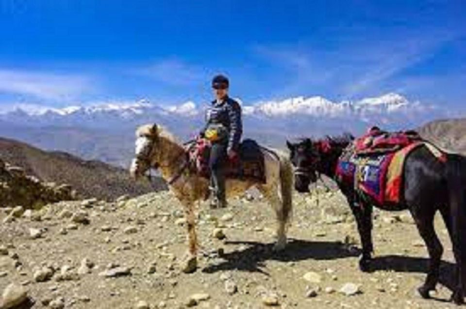 Saddle Up for a 1-Hour Horseback Riding Adventure in Pokhara - Key Points