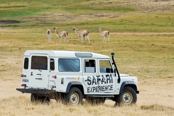 Safari Experience - Wildlife & Steppe - Key Points