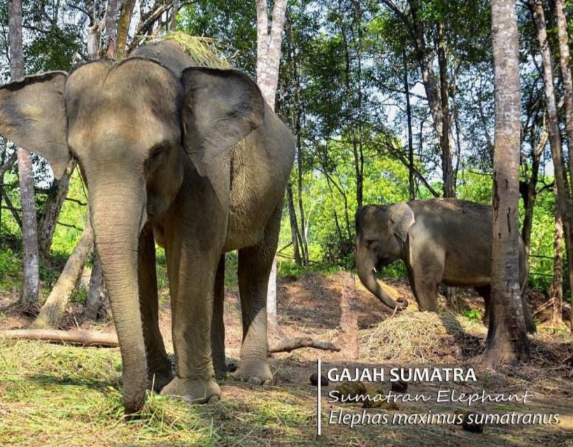 Safari Lagoi & Eco Farm Bintan - Key Points