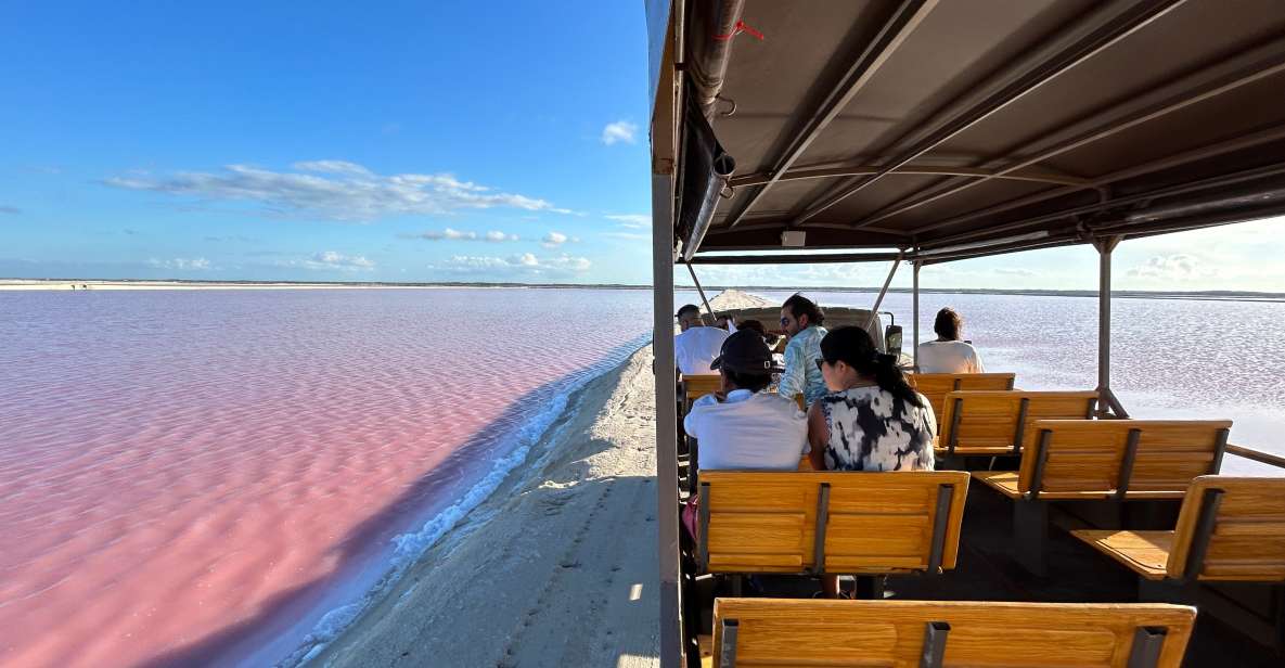 Safari Tour Around the Pink Lakes of Las Coloradas - Key Points