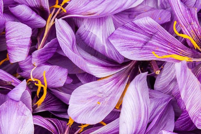 Saffron on the Roofs of Paris - Key Points