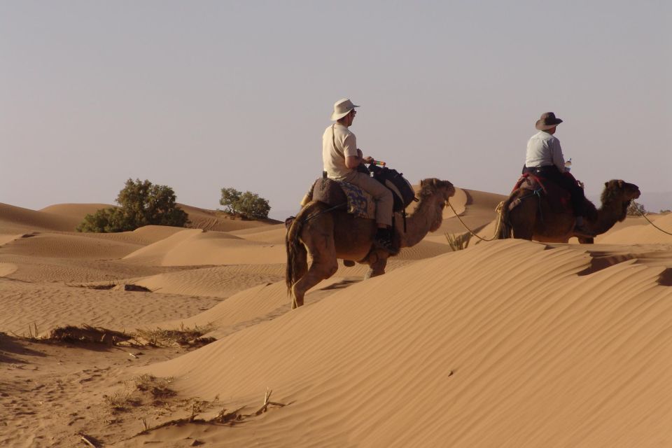 Sahara Desert Private Tours - Key Points