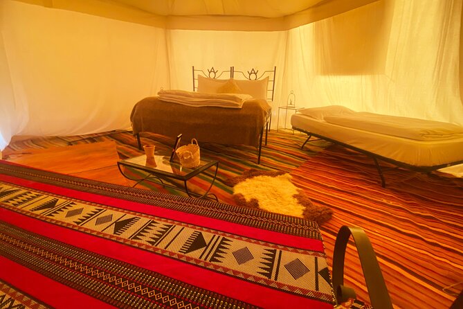 Sahara Desert Safari With Overnight Camping From Hammamet - Key Points