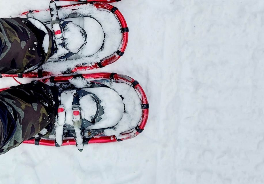 Saint-Jean-de-l'Île-d'Orléans: Self-Guided Snowshoeing Trip - Key Points