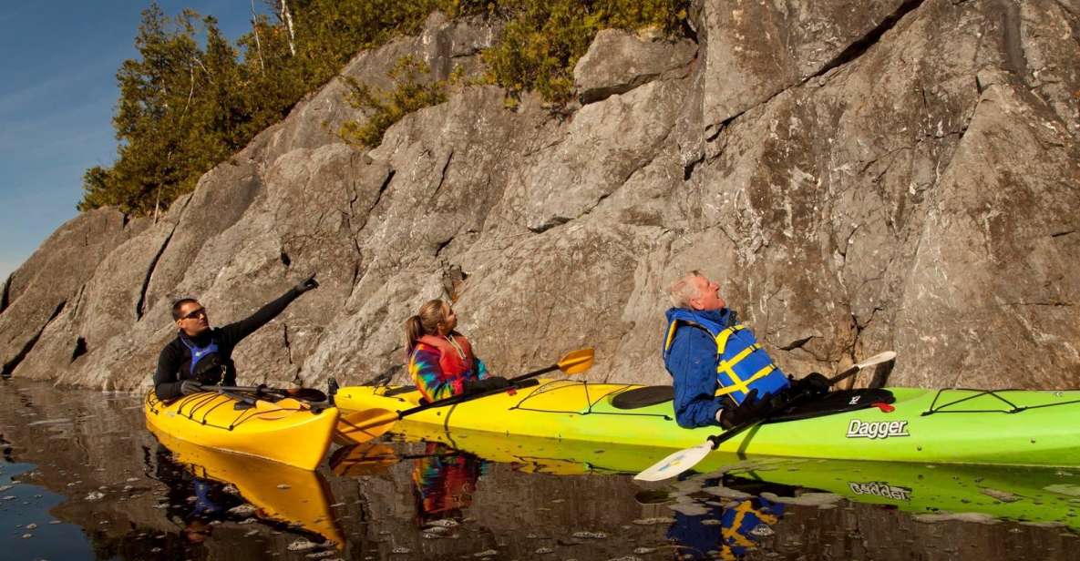 Saint John River: River Relics Kayak Tour - Key Points