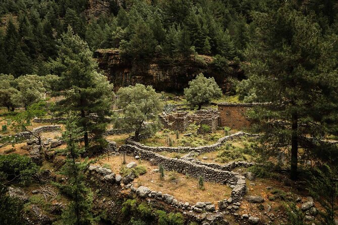 Samaria Gorge Guided Hike in Chania - Key Points