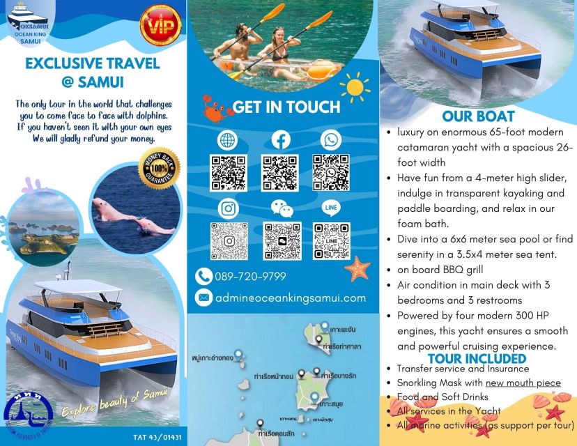 Samui Dolphins Tour by Catamaran Yacht - Key Points