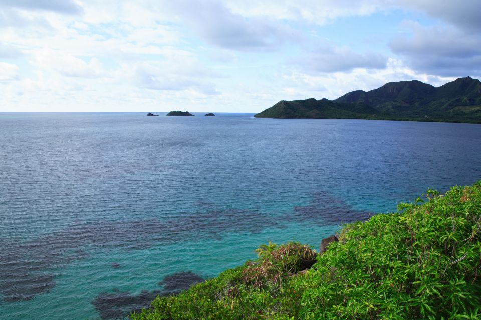 San Andrés: Guided Cays and Mangroves Tour - Key Points