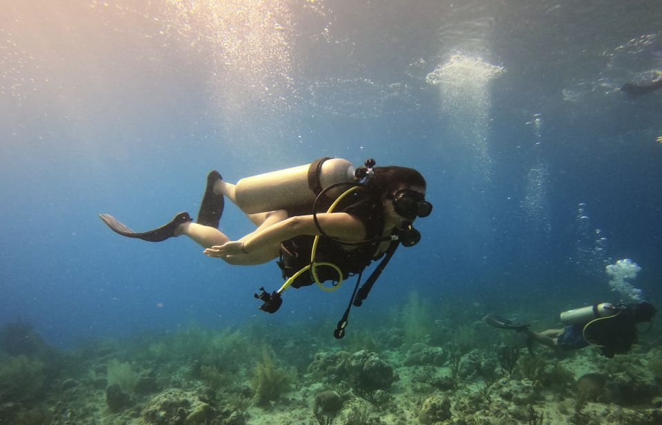 San Andrés: Guided Scuba Diving Trip With Hotel Transfer - Key Points