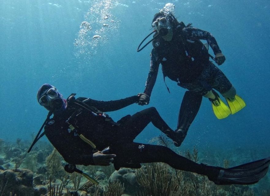 San Andrés Island: Personalized Mini Scuba Diving Course - Key Points