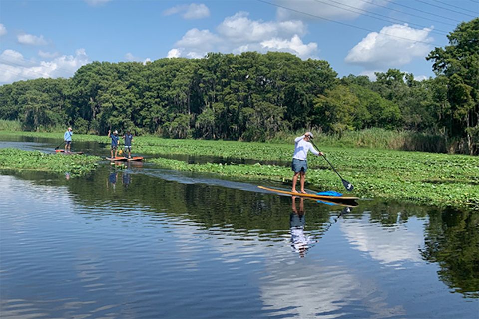 Sanford: Guided SUP or Kayak Manatee-Watching Tour - Booking and Logistics