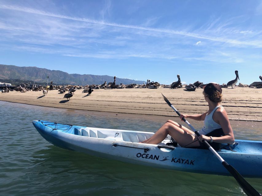 Santa Barbara: 1.5-Hour Harbor Kayak Tour - Activity Details