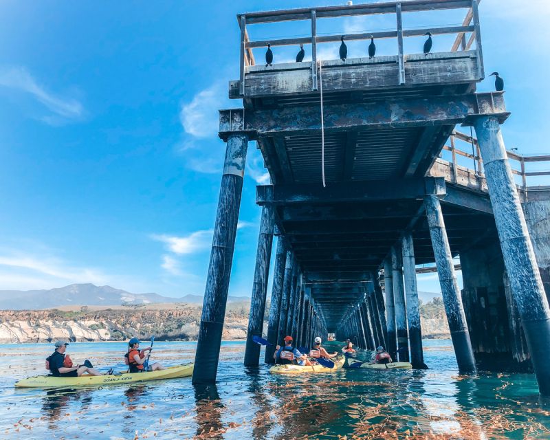 Santa Barbara: Haskell's Beach Kayaking Tour - Key Points