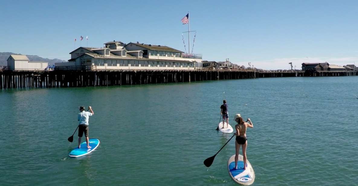 Santa Barbara: Stand-up Paddle Board Rental - Key Points