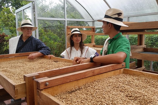 coffee tour santa rosa de cabal