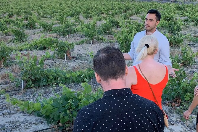 Santorini Uncorked a Grape Escape Into Wine Paradise - Key Points