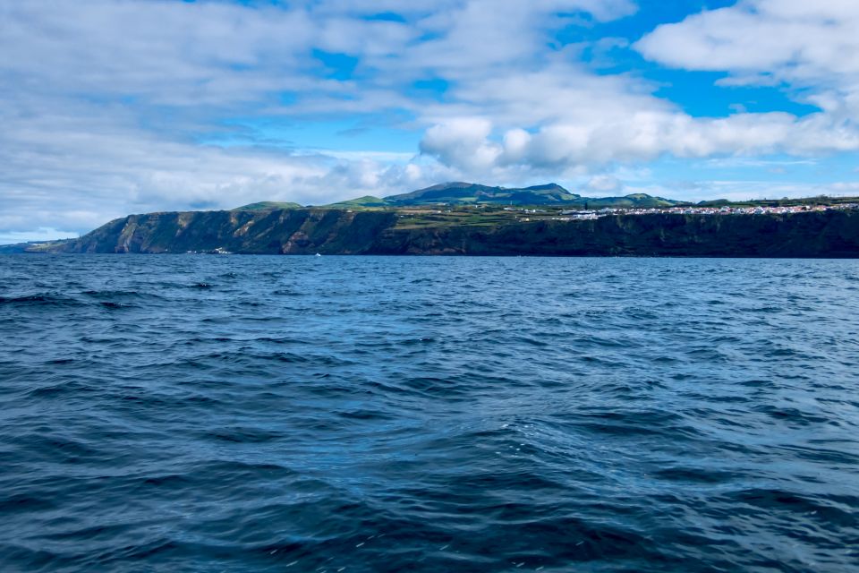 São Miguel: North Coast Whale Watching Cruise - Key Points