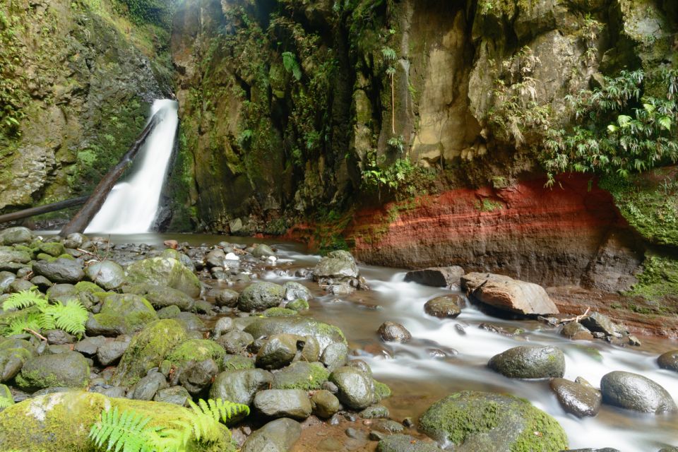 Sao Miguel: Salto Do Cabrito Guided Canyoning Experience - Key Points