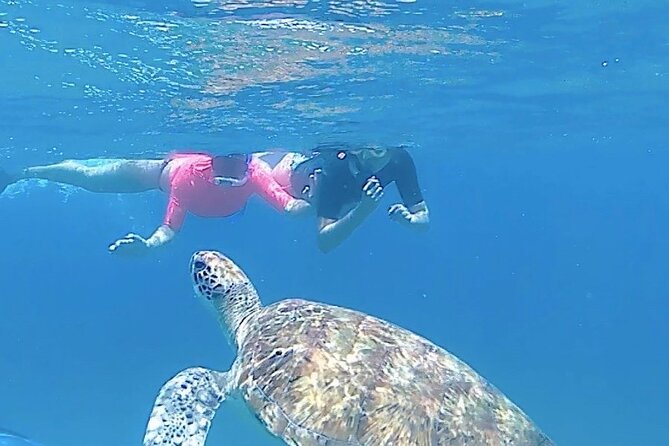 São Pedro Experience (Hiking & Snorkeling With Turtles) - Key Points